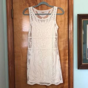 Express lace overlay dress